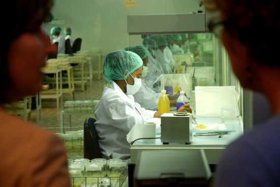 Bezoek minister Lilianne Ploumen aan VCI Ethopia